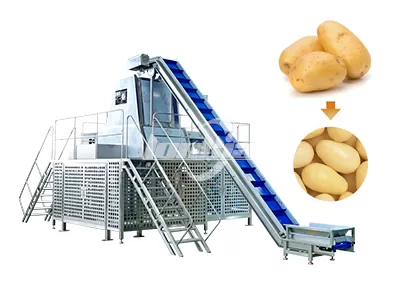 Steam Peeler Machine