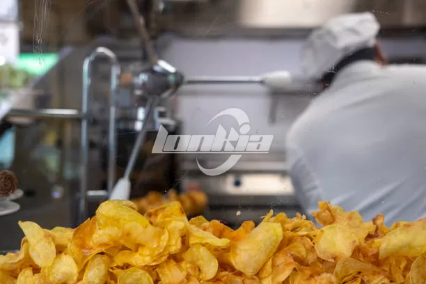 Potato Fryer Machine