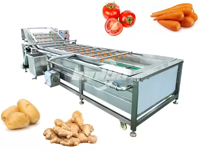 Fruit & Vegetable Washer Machine