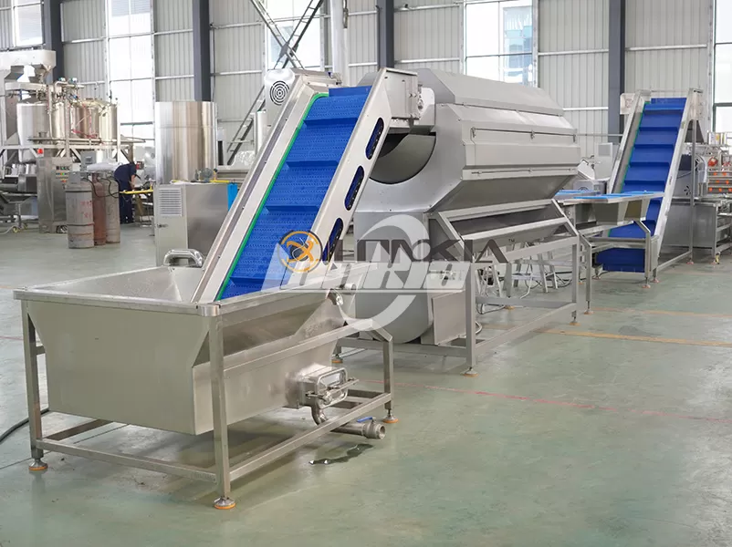 Step-by-Step Process of a Modern Potato Chips Processing Line